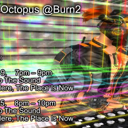 D. Octopus @Burning Man